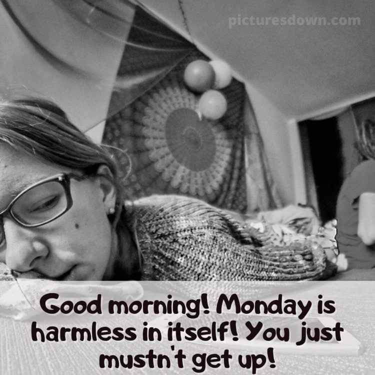 Good morning monday funny picture girl and bed free download