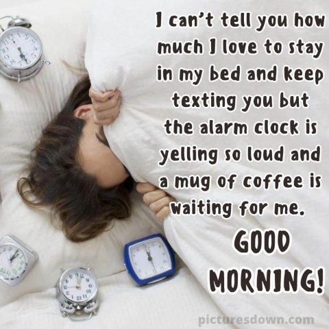 Good morning monday funny picture alarm clocks free download