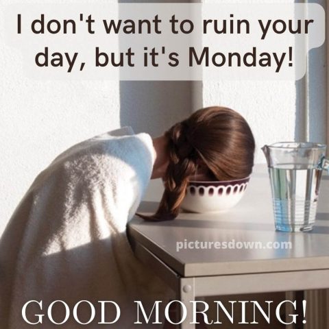 Good morning monday funny picture head in a bowl free download