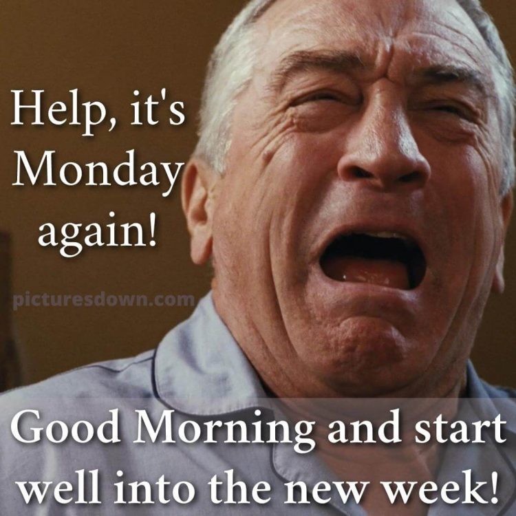 Good morning monday funny picture cry free download