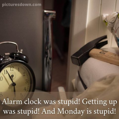 Good morning monday funny image alarm clock and hammer free download