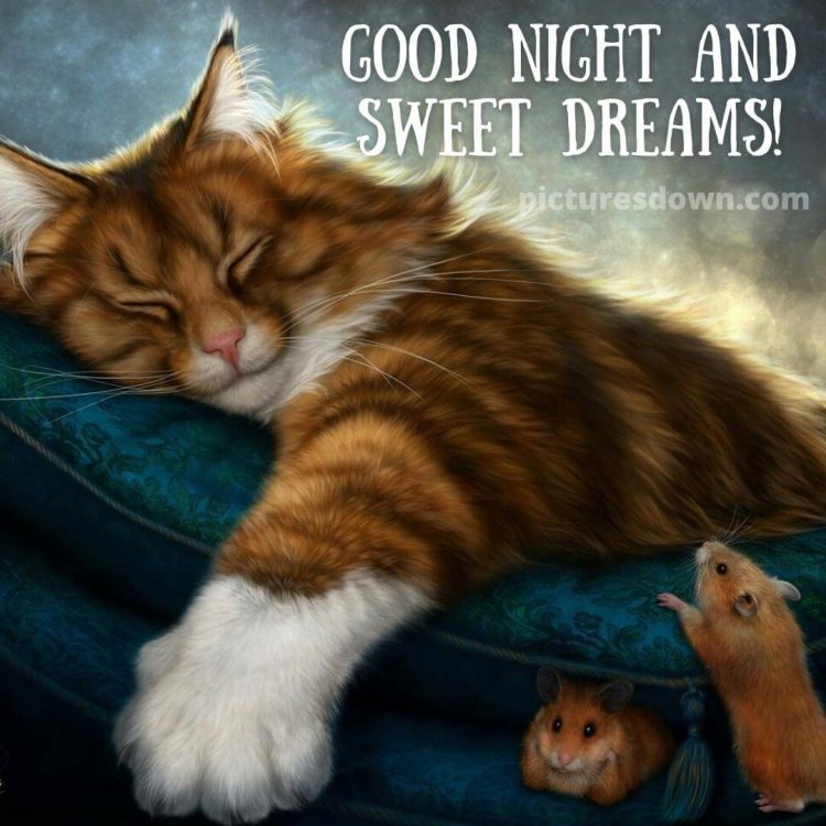 Good night tuesday image cat and mouse free download