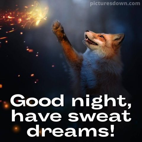 Good night tuesday image fox free download
