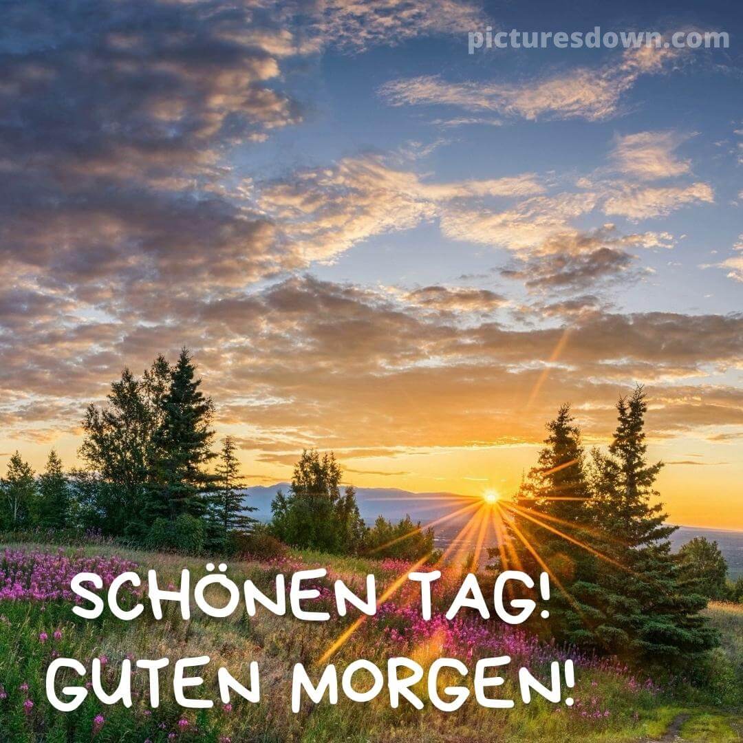 Sch nen Guten Morgen Bild Landschaft Picturesdown Sch nen Guten Morgen Bild Landschaft Picturesdown