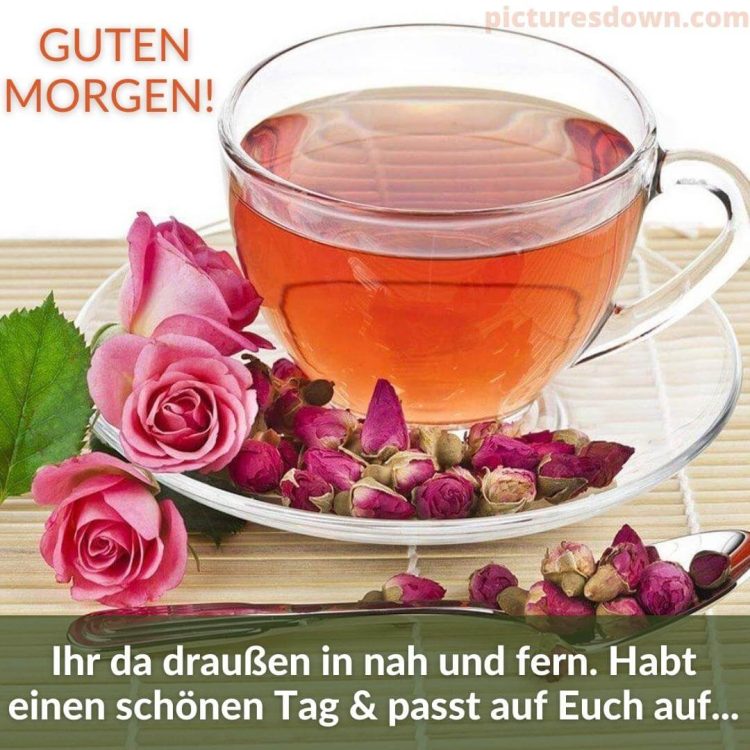 Guten morgen grüße für bild Tee Rosen kostenlos