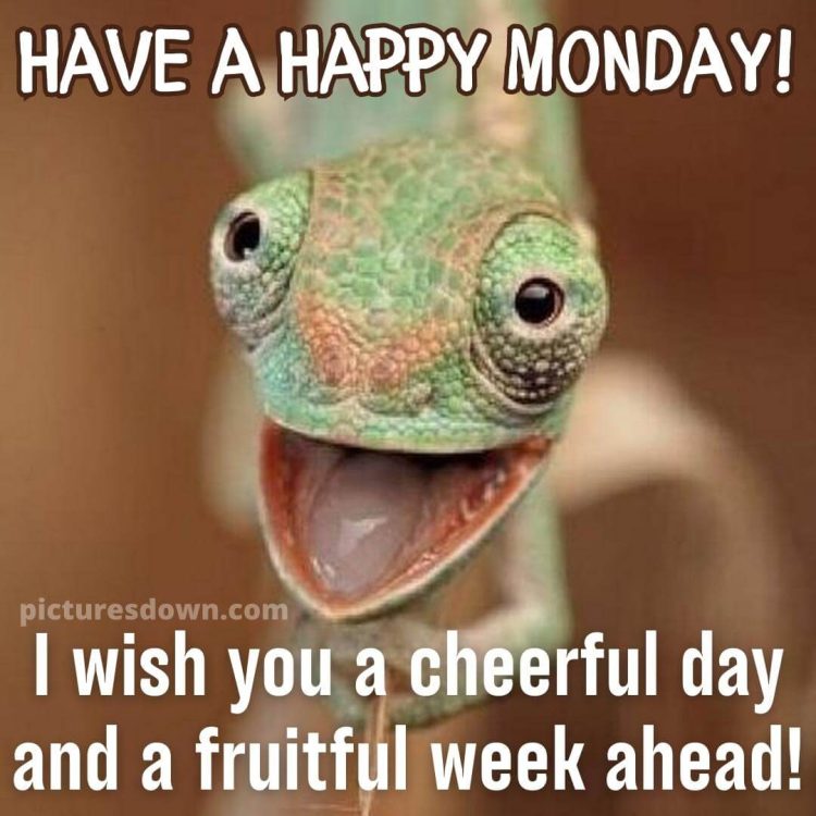 Happy monday image funny lizard free download