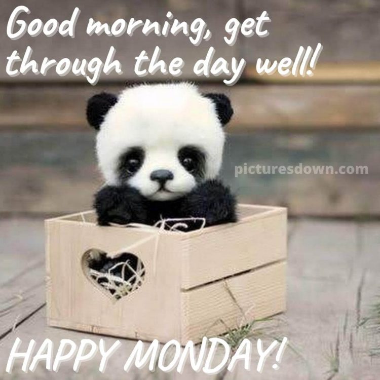 Beautiful happy monday image panda free download
