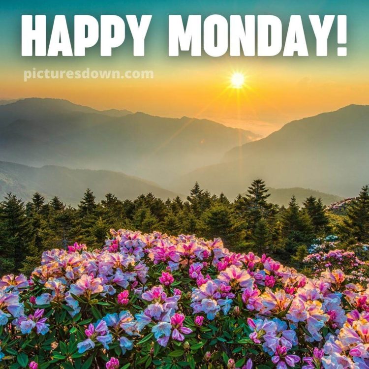 Happy monday blessings image scenery free download