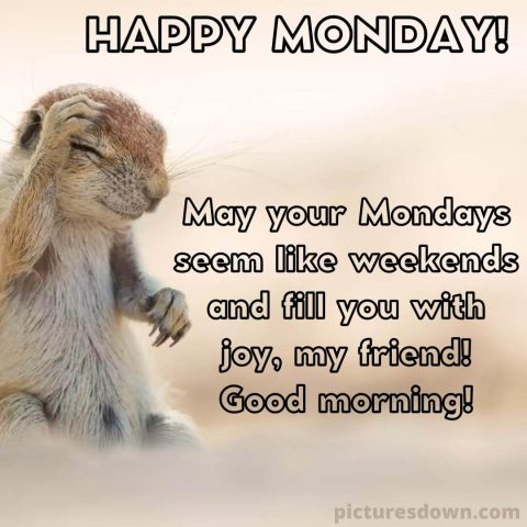 Happy monday picture Rodent free download