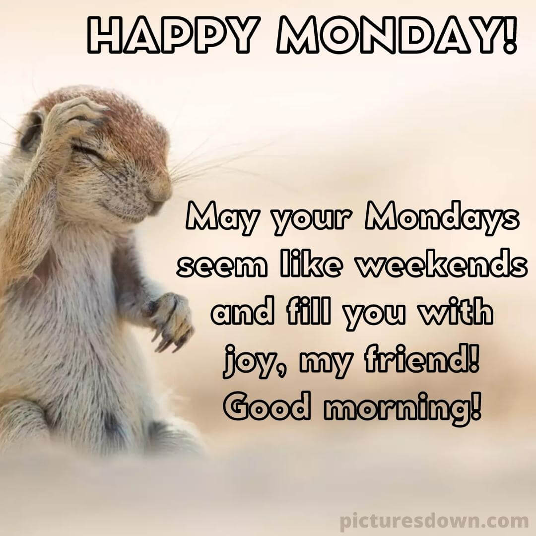 Happy monday picture Rodent free - picturesdown.com