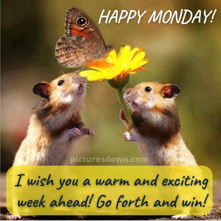 Happy monday image mouse free download
