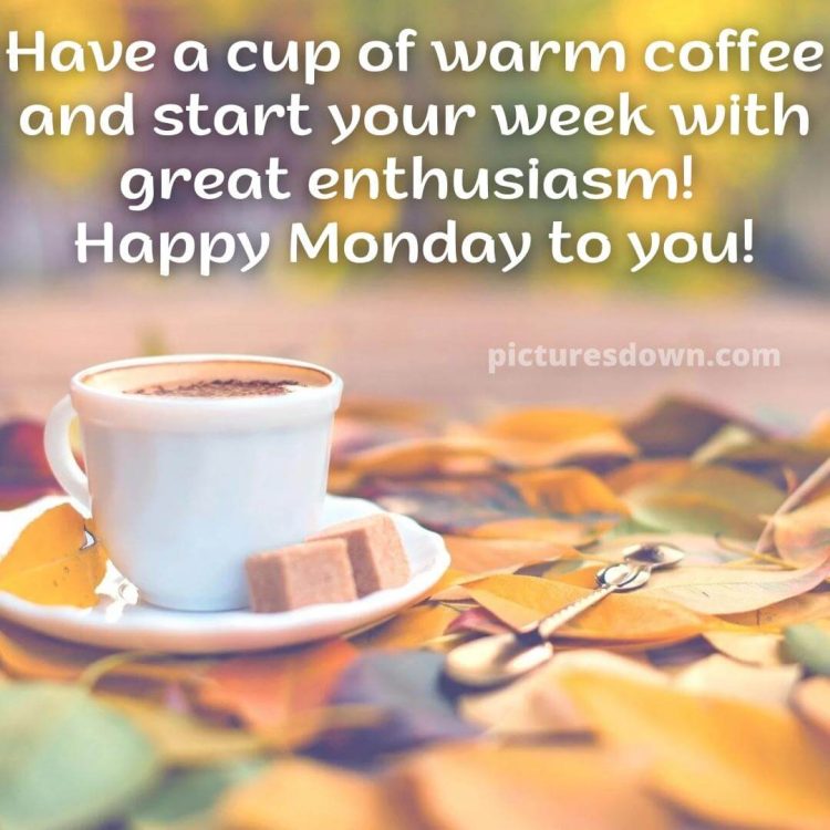 Happy monday image coffee and sugar free download