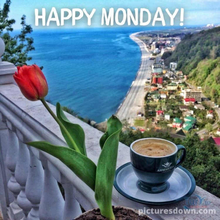 Happy monday image coffee landscape free download