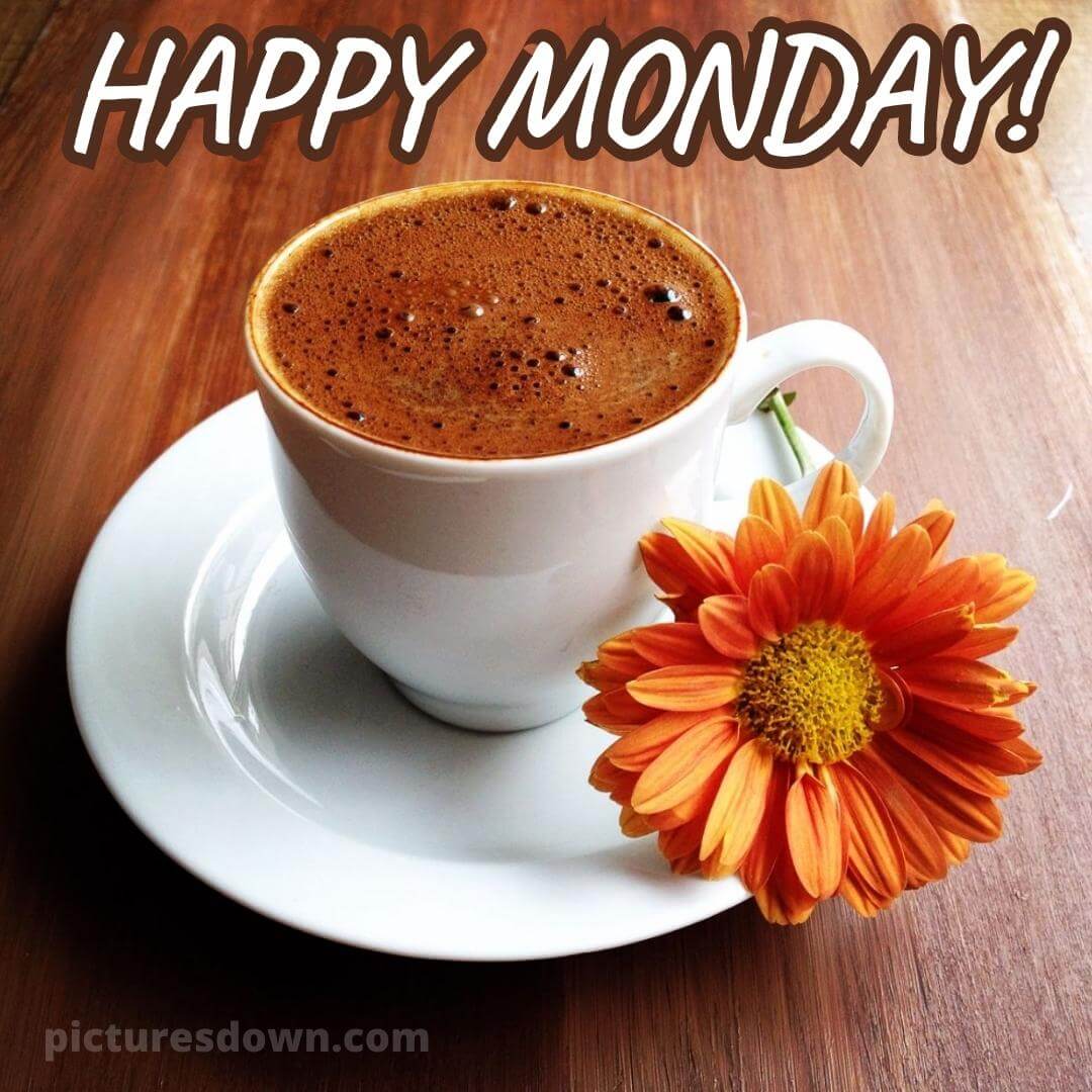 Happy Monday Image Coffee Chamomile Picturesdown