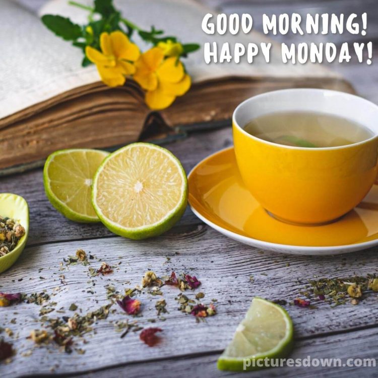 Happy monday image tea lime free download