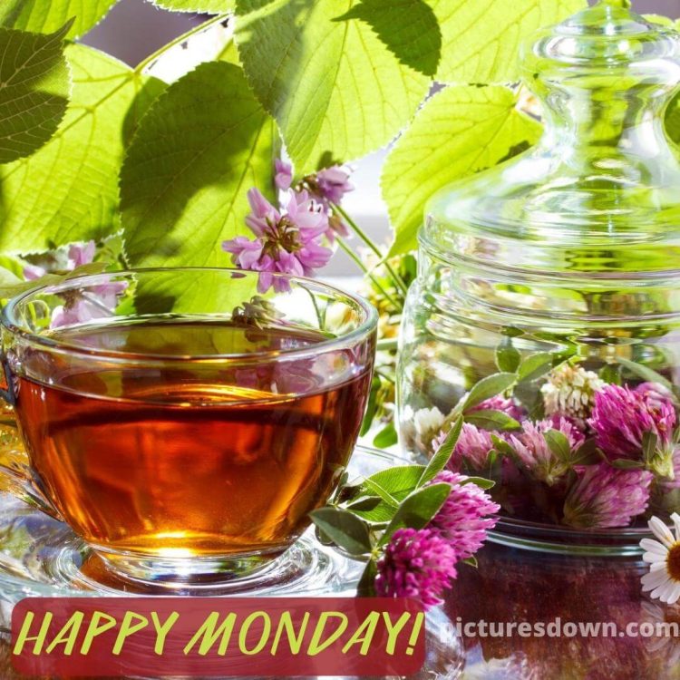 Happy monday image tea Herb free download