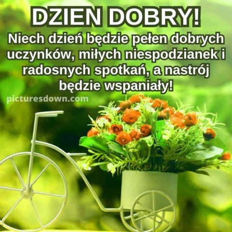 Kartka na dzień dobry życzę kwiaty za darmo