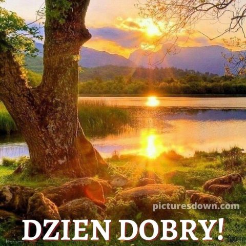 Fajne kartka na dzień dobry rzeka za darmo