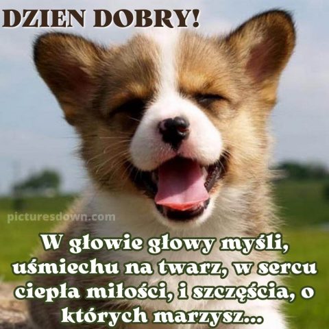 Fajne kartka na dzień dobry pies za darmo