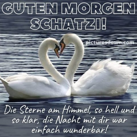 Herz guten morgen bild Schwäne kostenlos