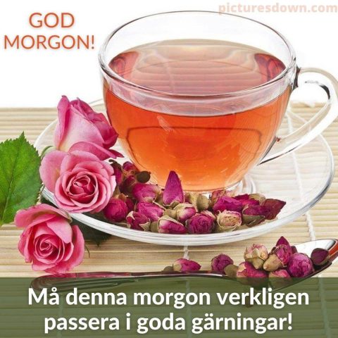 Godmorgon te bild rosor ladda ner gratis