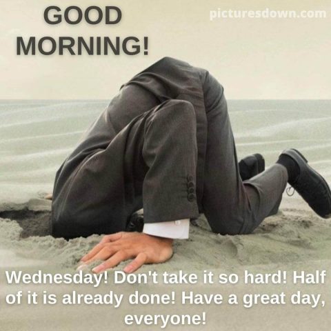 Funny wednesday image head in the sand free download