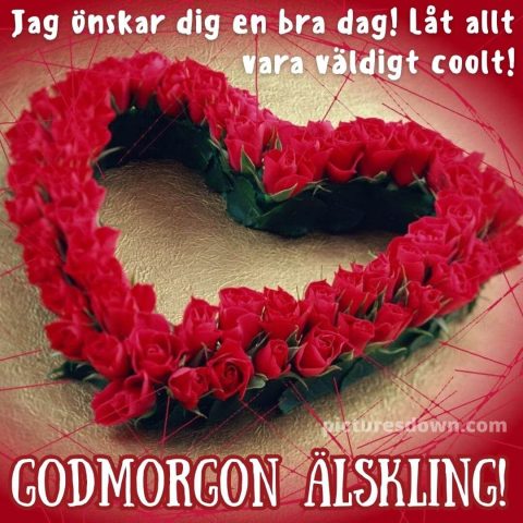 God morgon bild kärlek hjärta av rosor ladda ner gratis