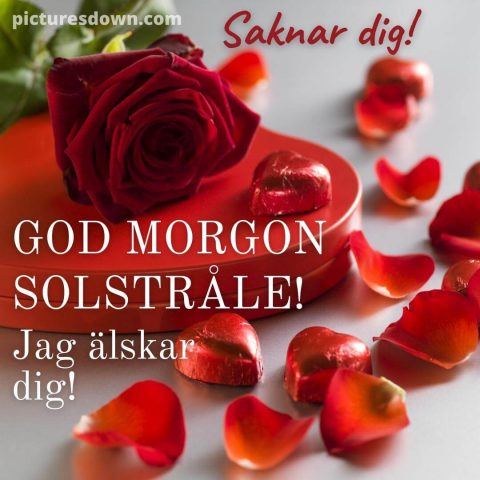 God morgon mitt hjärta bild reste sig ladda ner gratis