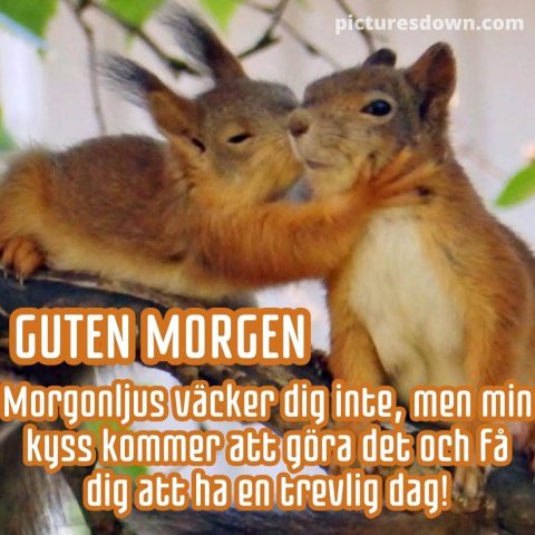 Godmorgon älskling bild kyss ladda ner gratis