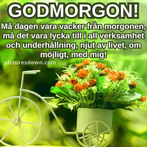 Godmorgon bild cykel med blommor ladda ner gratis