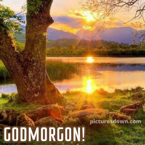 Godmorgon bild flod ladda ner gratis