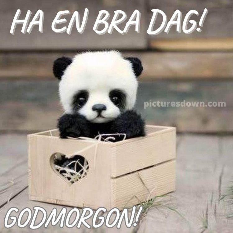 Godmorgon bild panda ladda ner gratis