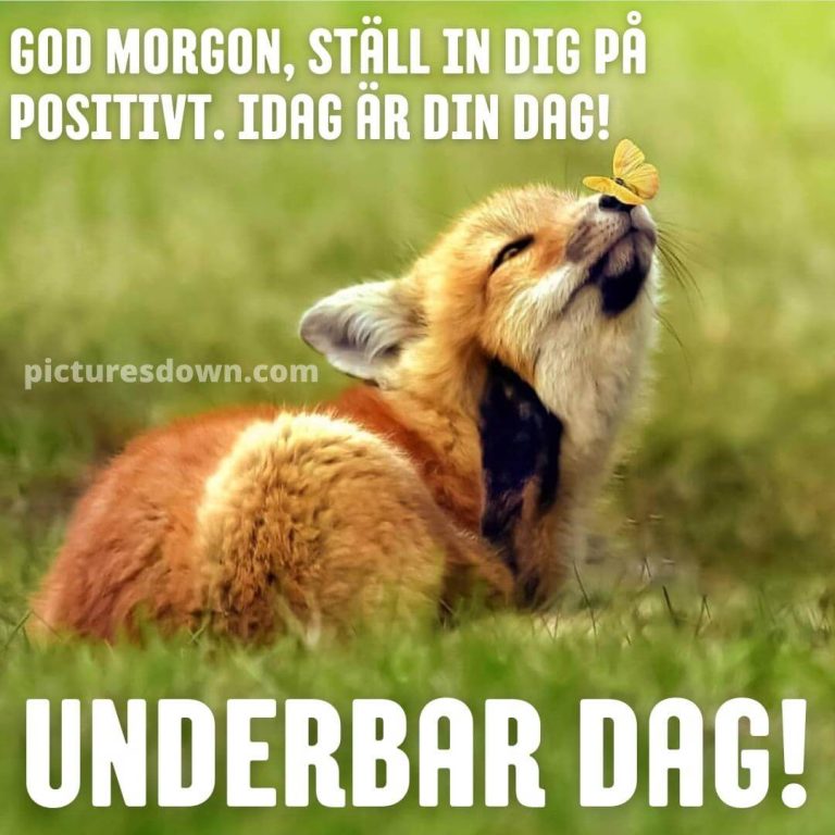 Godmorgon Bilder Gratis God Morgon Allihopa