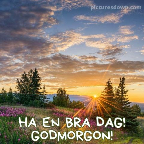 God morgon allihopa bild landskap ladda ner gratis