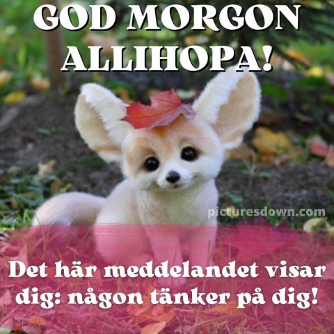 Godmorgon bild fenech ladda ner gratis