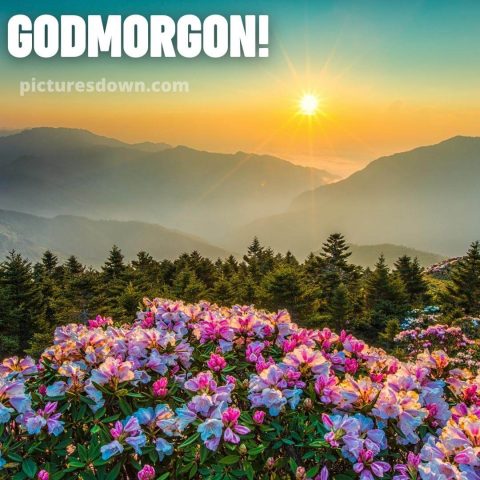 Godmorgon bild berg ladda ner gratis
