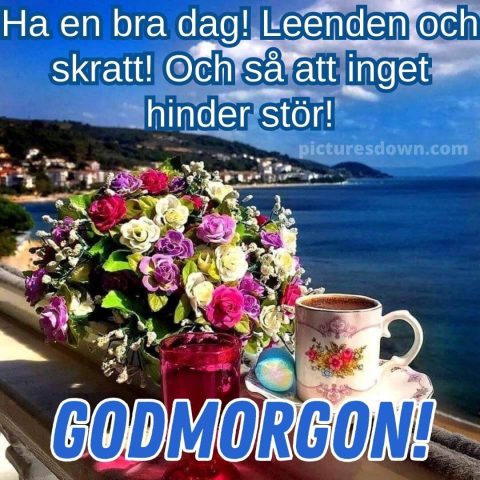 Godmorgon blommor bild hav ladda ner gratis