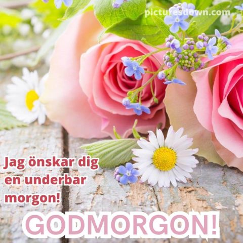 Godmorgon blommor bild rosor och prästkragar ladda ner gratis