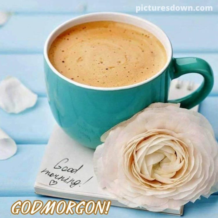 God morgon kaffe bild vit ros ladda ner gratis