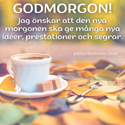 Godmorgon kaffe bild löv ladda ner gratis