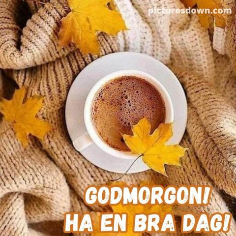 Godmorgon kaffe bild höst ladda ner gratis