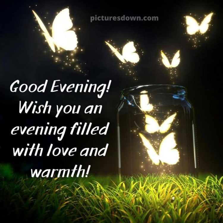 Good evening sunday image butterflies free download