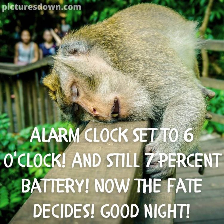 Good night thursday image monkey free download