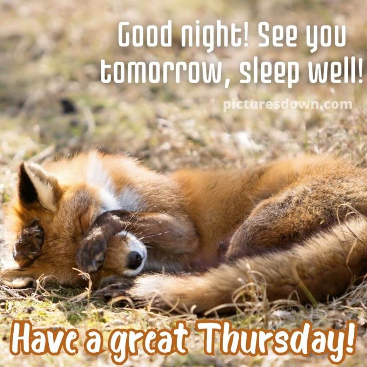 Good night thursday image fox free download