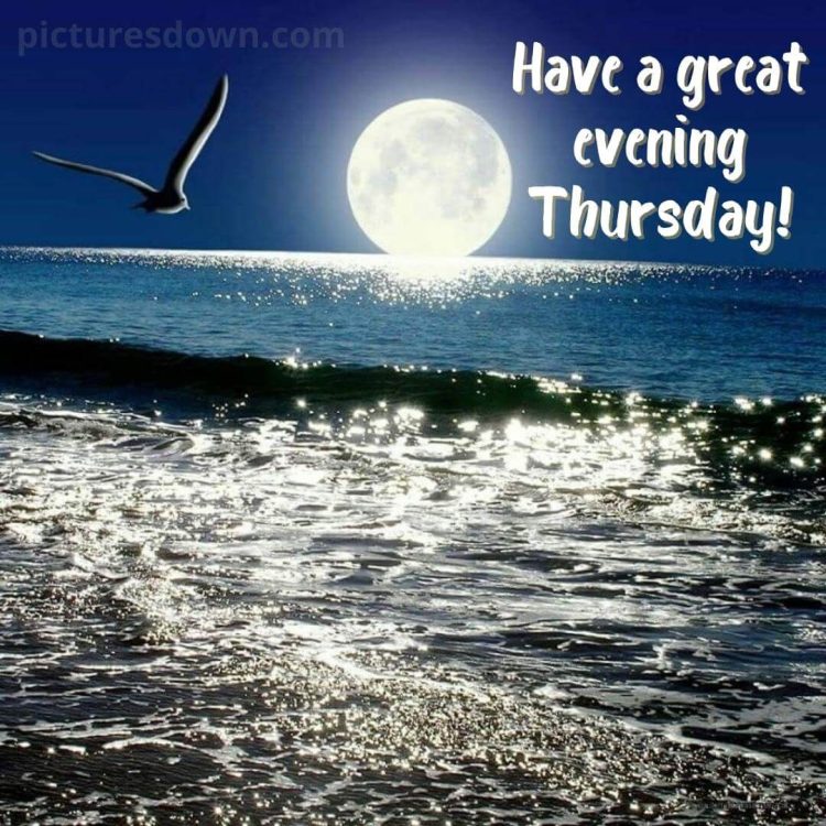 Good evening thursday sea and moon free download