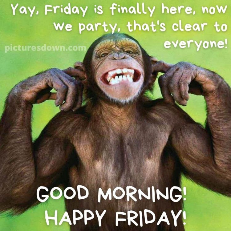 Good friday morning funny picture ape free download