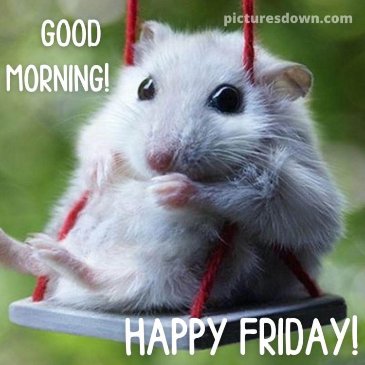 Good morning friday image mouse on a swing free download