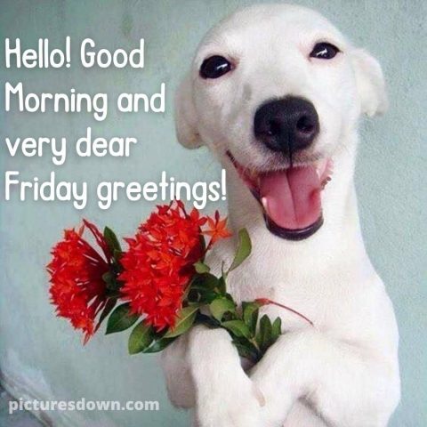 Good morning friday image dog with flowers free download
