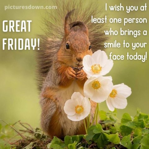 Good morning friday image squirrel and flowers free download