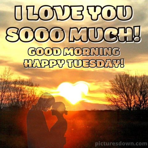 Good morning tuesday love picture scenery free download
